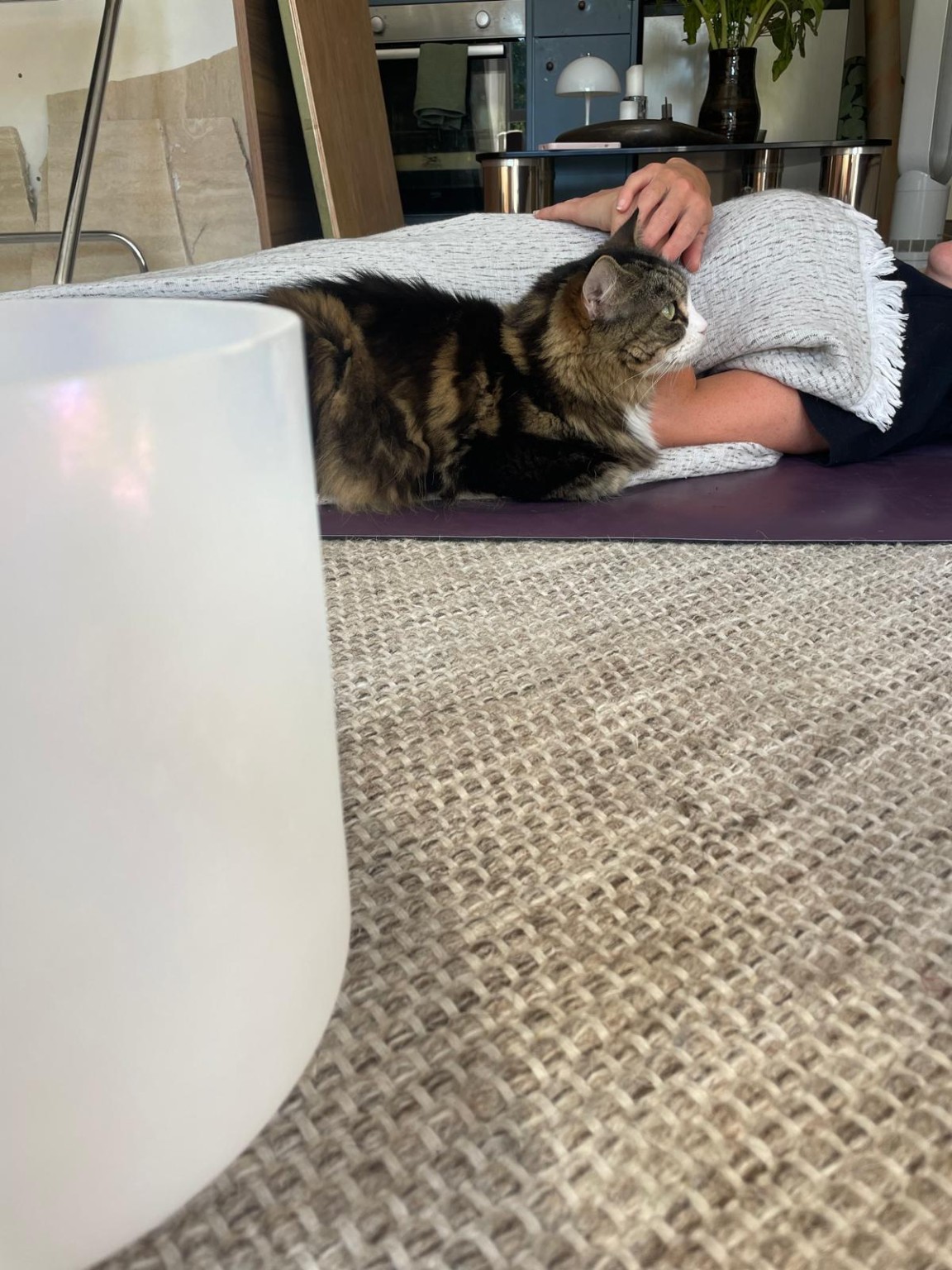A resting participant with a cat beside a crystal bowl