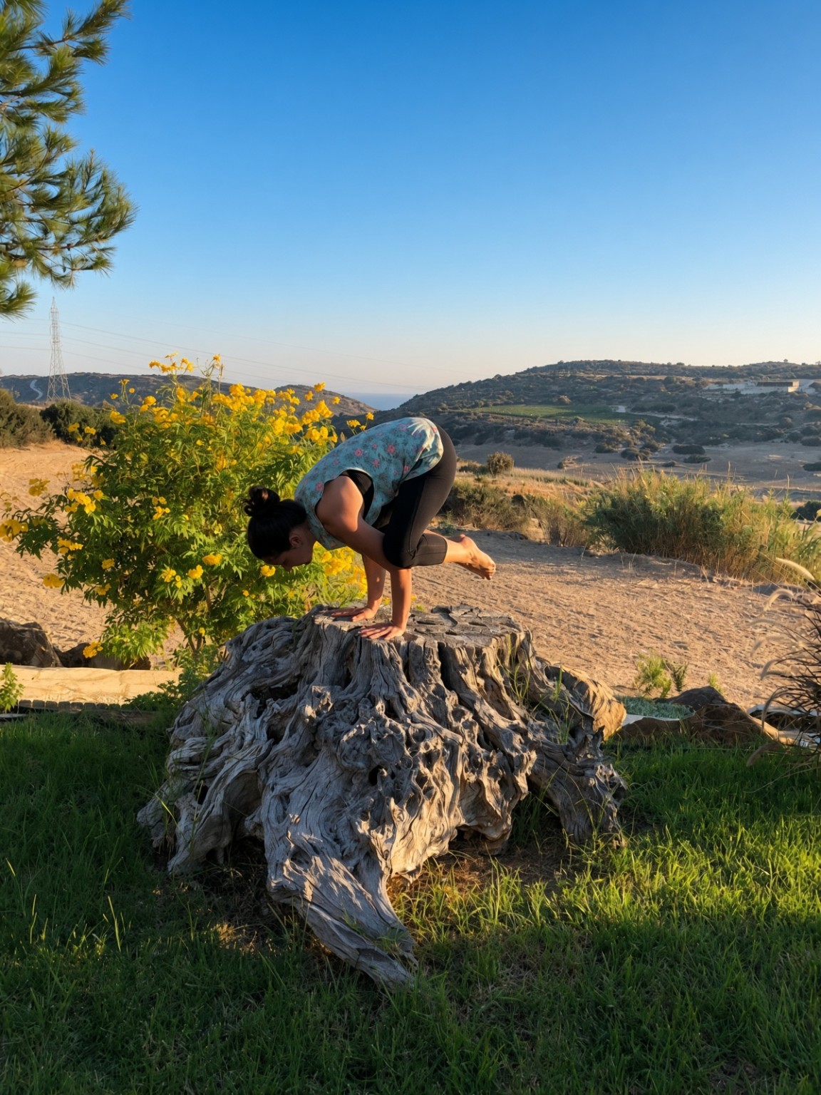 Outdoor yoga balance on a tree stump